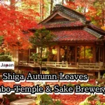 1-Day Shiga Autumn Leaves & Sake Brewery Tour