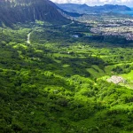 Grand Circle Island and Haleiwa Town Tour