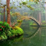 Xitou Nature Education Area Ticket in Nantou