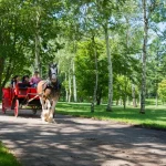 Northern Horse Park Ticket in Tomakomai, Hokkaido