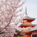 Kyoto｜Kiyomizu-dera Temple, Kinkaku-ji Temple, and Arashiyama Day Tour (Small Group Tour from Osaka and Kyoto)