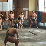 Morning practice tour and commemorative photo experience at Sumo Takasago Stable (Asakusa)