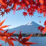 [Mt. Fuji & Hakone] One-day tour of Oishi Park at the foot of Mt. Fuji, Owakudani Ropeway, and Lake Ashi cruise (including cruise experience, departing from Tokyo)