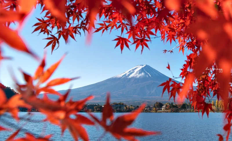 [Mt. Fuji & Hakone] One-day tour of Oishi Park at the foot of Mt. Fuji, Owakudani Ropeway, and Lake Ashi cruise (including cruise experience, departing from Tokyo)