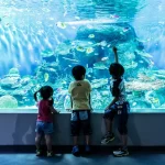 Shinagawa Aquarium Admission Ticket in Tokyo