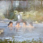 SPA HERBS Onsen Experience in Saitama