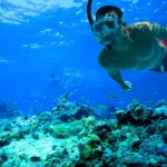 Snorkeling Adventure in Key West