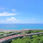 Southern Okinawa Half/One Day Trip