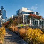 Hudson Yards Tour With Optional Edge Upgrade