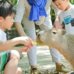 Nagasaki Bio Park Admission in Saikai