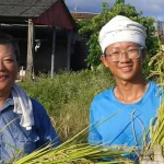 Cooking Class with Farm and Market Tour in Yilan