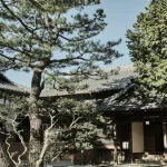 Takamiya Garden Tea House Seasonal Japanese Food – Fukuoka City