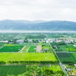 Taitung East Rift Valley Half Day Guided Tour