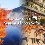 Kyushu Wildlife Park African Safari & Yufuin Day Tour from Fukuoka