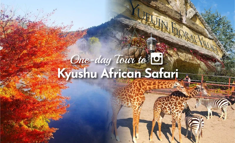 Kyushu Wildlife Park African Safari & Yufuin Day Tour from Fukuoka