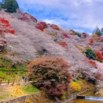 Gifu: Torokei Mountain Eihoji Temple & Korankei