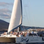 Deluxe Whale Watching Sail in Maui