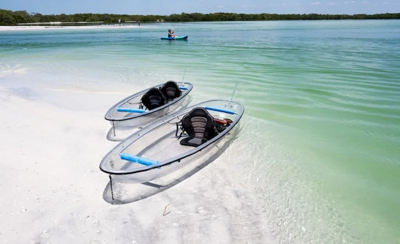 Shell Key Preserve Clear Kayak Tour in Tampa Bay