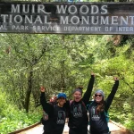 Muir Woods, Sonoma and Napa Wine Country Day Tour from San Francisco