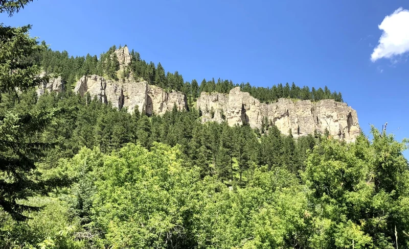 Devils Tower, Spearfish Canyon, and Deadwood Adventure Tour