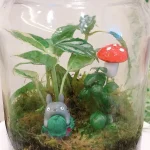 Plant Terrarium DIY Experience in Taichung