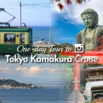 [Kamakura｜Free Golden Toad Souvenir & Train Experience] Kamakura Buddha & Kamakura Train Experience & Kamakura High School & Enoshima & Tsurugaoka Hachimangu Shrine & Komachi-dori Tokyo Kamakura Day Tour (Departing from Tokyo)