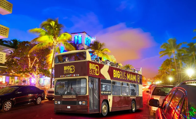 Miami Open-Top Night Bus Tour