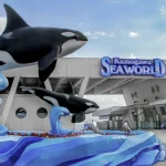 Kamogawa Sea World Ticket Admission Ticket in Chiba