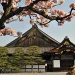 Kyoto Morning Tour (Round Trip from Kyoto)