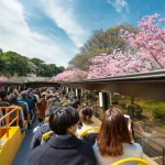 Tokyo City, Open Top Bus Sightseeing Trip