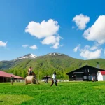 [Hokkaido | Noboribetsu Lake Toya Niseko One-Day Tour] Little Fuji Yotei & Takahashi Ranch & Lake Toya & Noboribetsu Hell Valley & Bear Ranch & Kyogoku Famous Water Park & Winter Lake Shikotsu Ice Wave Festival One-day Tour ｜Departure from Sapporo