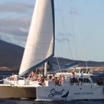 Whale Watching Sail in Maui