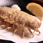 Kome to Circus – Japanese-based Gibier/Insect Cuisine in Tokyo, Shibuya