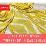 Scarf Plant Dyeing Workshop in Kagoshima