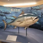 Tokyo Toyosu Fish Market Tuna Auction with Fresh Seafood Buffet Tour