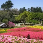 Fukuoka Nokonoshima Island Park Half Day Tour