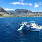 Oahu Dolphin Cruise with Water Activities (Pickup and Lunch Included)