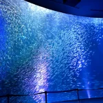 Port of Nagoya Public Aquarium