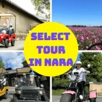 Buggy, Trike or E-Bike Tour in Ikaruga, Nara (Free Choice of Ride)