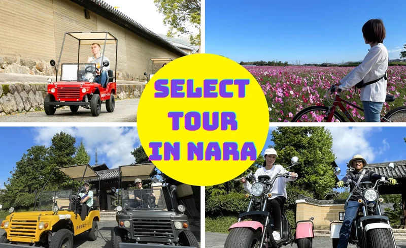 Buggy, Trike or E-Bike Tour in Ikaruga, Nara (Free Choice of Ride)