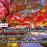 1-Day Kamado-jinja Shrine & Dazaifu Tenmangu Autumn Leaves Tour