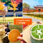 Nara Park & Todaiji Temple & Uji & Genji no Yu Day Tour (Departure from Osaka)