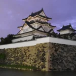 Takigi Noh Performance Ticket at Kishiwada Castle in Osaka