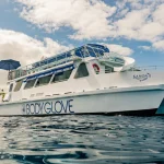 Deluxe Snorkeling & Dolphin Watching Experience in the Big Island