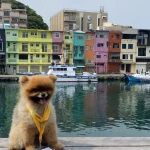 Northeast Coast Instagram Tour in New Taipei