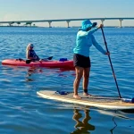 Dolphin & Manatee Kayak or Paddle Board Tour in Titusville