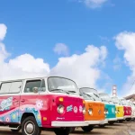 San Francisco: Small-Group City Tour by Vintage VW Bus