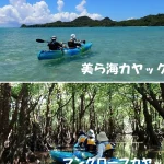 【Ishigaki Island / Private Kayak Tour】Churaumi Kayak or Mangrove Kayak (Tour photo gift / Free pick-up and drop-off)