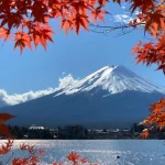 [Mount Fuji Fall Foliage] 5th Station, Oshino Hakkai, Oishi Park, Kawaguchiko Fall Foliage Corridor Autumn Leaf Viewing Day Tour (Depart from Tokyo)