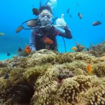 Pingtung｜Kenting Wanlitong Beach Water Entertainment Trip｜Diving experience・Advanced snorkeling